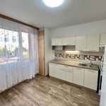Rent 1 bedroom apartment of 39 m² in Plzeň