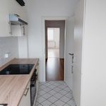 Rent 3 bedroom apartment of 80 m² in Leipzig