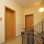 Rent 2 bedroom apartment of 56 m² in Pirna