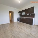 Rent 1 bedroom apartment of 44 m² in Havířov