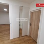 Rent 1 bedroom apartment of 40 m² in Zlín