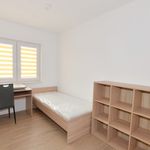 Wynajmij 4 sypialnię apartament z 64 m² w Trzebownisko