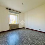 Rent 3 bedroom apartment of 85 m² in Mantova