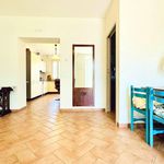 Rent 4 bedroom house of 100 m² in Camaiore