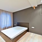 Rent 2 bedroom apartment of 112 m² in Praha