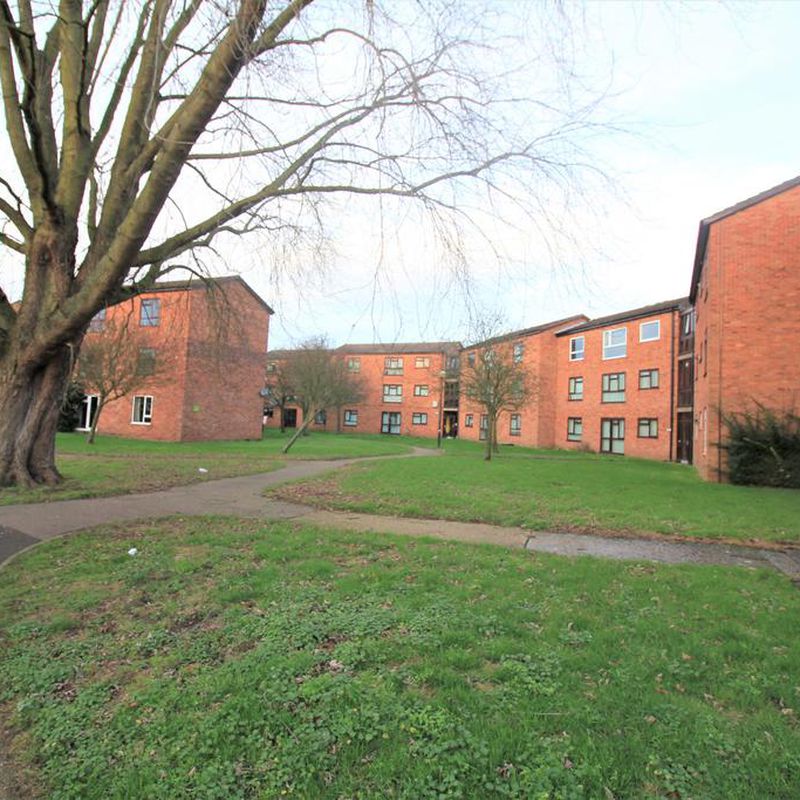 3 bedroom apartment to rent Forncett End