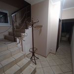 Rent 1 bedroom apartment of 100 m² in Golina gmina