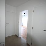 Rent 1 bedroom apartment of 40 m² in Leuven