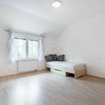 Rent 1 bedroom house in Plzeň