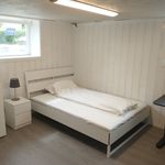 Rent a room of 300 m² in Hønefoss