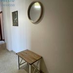 Rent 2 bedroom apartment of 60 m² in Pinerolo