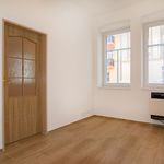 Rent 2 bedroom apartment of 47 m² in Decin