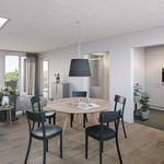 Rent 4 bedroom apartment of 75 m² in Dielsdorf