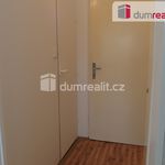 Rent 1 bedroom apartment of 20 m² in České Budějovice