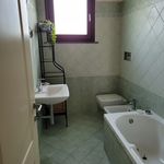Affitto 1 camera appartamento di 65 m² in Pisa