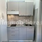 Rent 2 bedroom apartment of 40 m² in Pavia