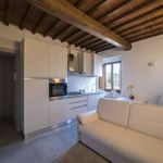 Rent 1 bedroom apartment of 35 m² in Impruneta