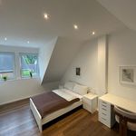 Rent 3 bedroom apartment of 60 m² in Frechen
