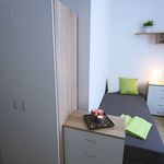 Rent 5 bedroom apartment in Lodz