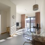 Rent 1 bedroom apartment of 542 m² in Linkeroever