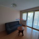 Rent 2 bedroom apartment of 42 m² in Toruń