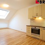Rent 2 bedroom apartment of 54 m² in Brno