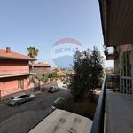 Rent 5 bedroom apartment of 115 m² in Catania
