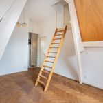 Rent 3 bedroom apartment of 136 m² in Amsterdam