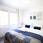 Rent 4 bedroom house in Velsen-Zuid