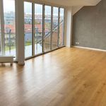 Rent 3 bedroom apartment of 119 m² in Kolding