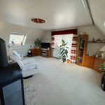 Miete 1 Schlafzimmer wohnung von 97 m² in Schwarzenberg/Erzgebirge