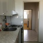 Pronajměte si 2 ložnic/e byt o rozloze 64 m² v České Budějovice
