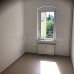 Rent 2 bedroom apartment of 59 m² in Zeitz