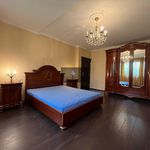 Rent 1 bedroom house of 260 m² in Nová Role