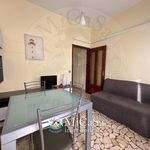 Affitto 1 camera appartamento di 40 m² in Pisa