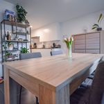 Rent 2 bedroom apartment of 78 m² in Lendelede