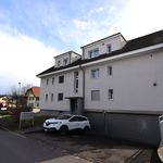 Rent 4 bedroom apartment of 61 m² in Erlach