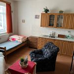Rent 1 bedroom apartment in Jičín