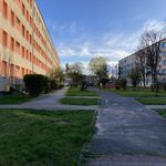 Rent 1 bedroom apartment of 26 m² in Sosnowiec
