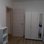 Affitto 3 camera appartamento in Padova