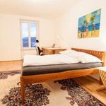 Miete 1 Schlafzimmer wohnung von 55 m² in Graz