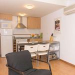 Rent 1 bedroom apartment of 40 m² in Parets del Vallès