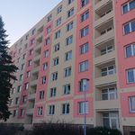 Rent 1 bedroom apartment of 32 m² in Brno