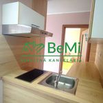 Rent 2 bedroom apartment of 42 m² in Petrovice I