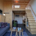 Rent 1 bedroom house in Velsen-Zuid