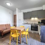 Rent 2 bedroom apartment of 60 m² in L'Aquila