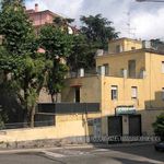 Rent 3 bedroom apartment of 50 m² in Albano Laziale