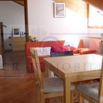 Rent 1 bedroom apartment of 60 m² in Bollate