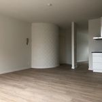 Rent 4 bedroom apartment of 54 m² in Brecht