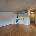 Rent 3 bedroom apartment of 77 m² in Schwaz